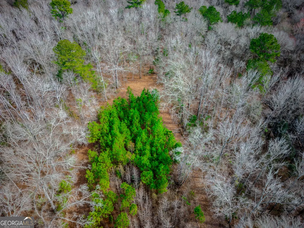 0 Eastman Dublin HWY Cadwell, GA 31009