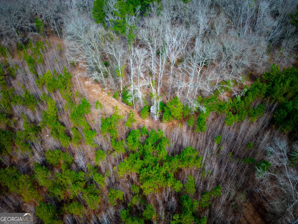 0 Eastman Dublin HWY Cadwell, GA 31009