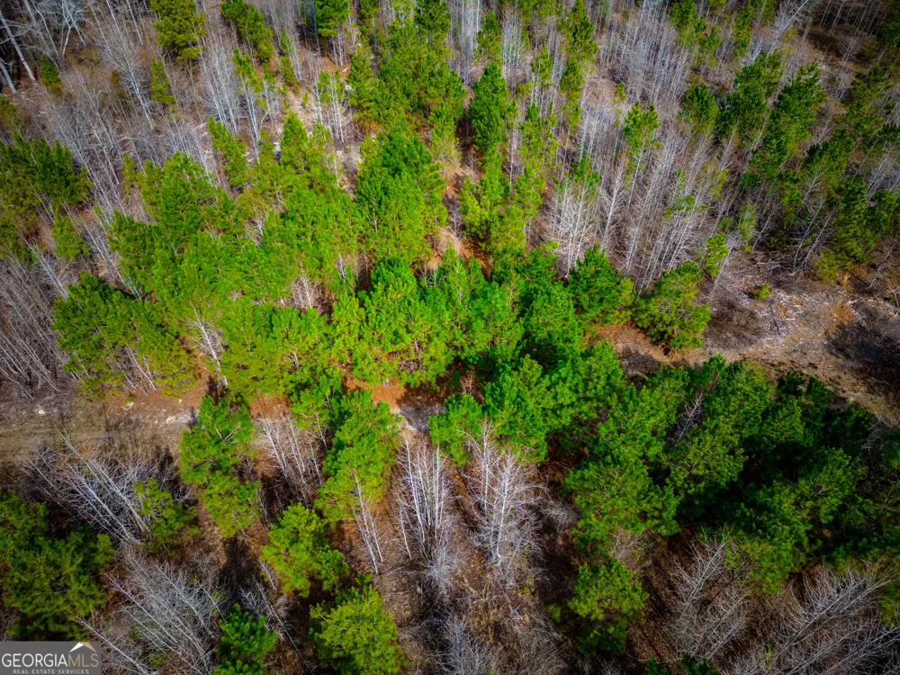 0 Eastman Dublin HWY Cadwell, GA 31009