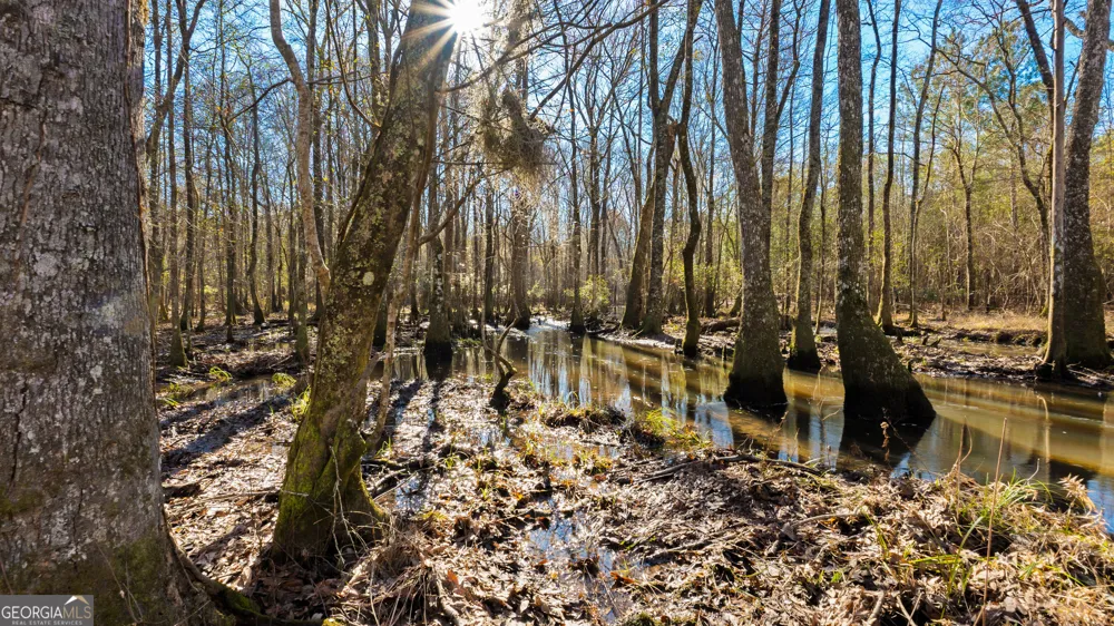 0 Eastman Dublin HWY Cadwell, GA 31009