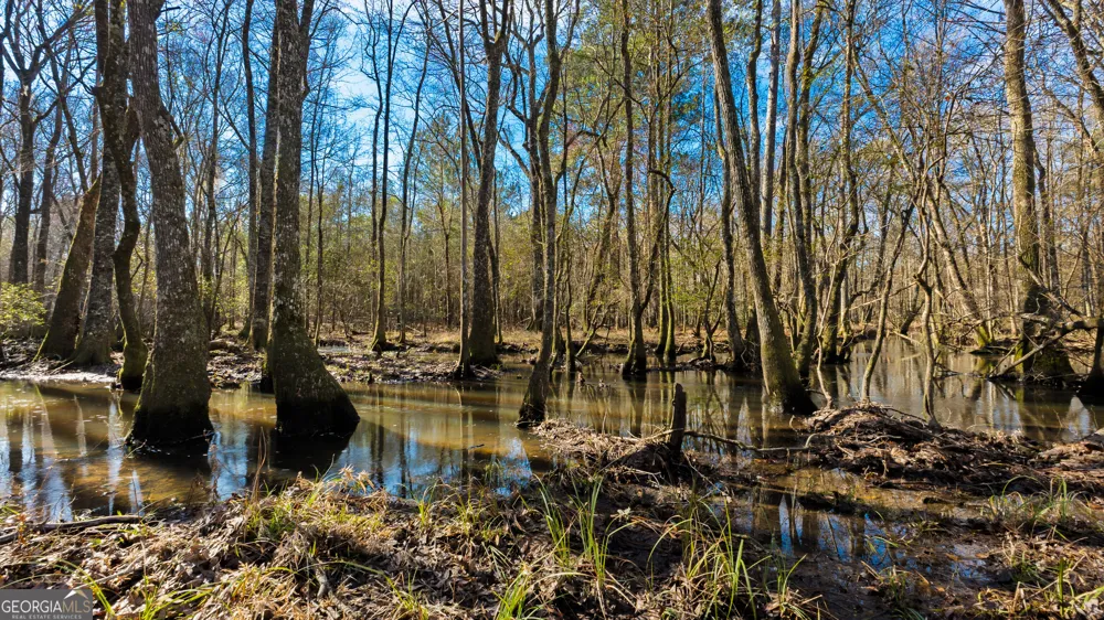0 Eastman Dublin HWY Cadwell, GA 31009