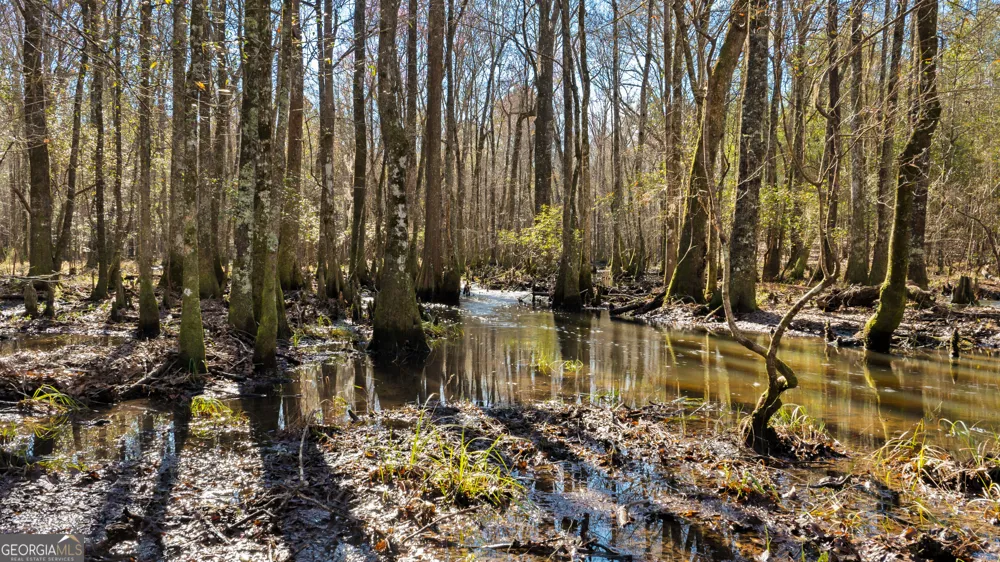 0 Eastman Dublin HWY Cadwell, GA 31009