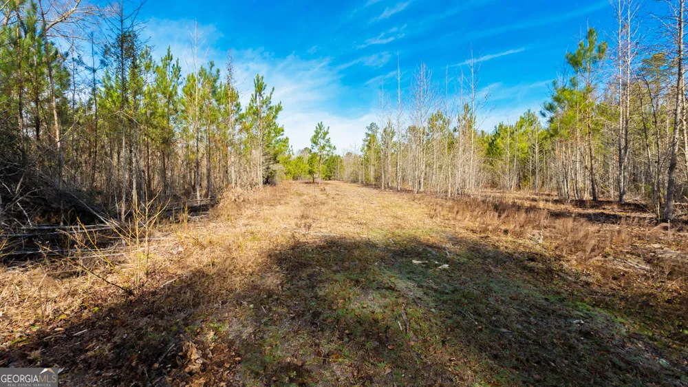 0 Eastman Dublin HWY Cadwell, GA 31009