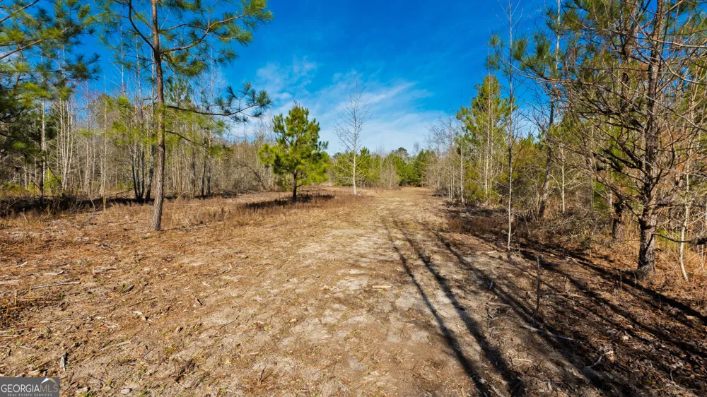 0 Eastman Dublin HWY Cadwell, GA 31009