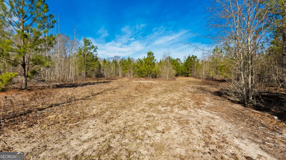 0 Eastman Dublin HWY Cadwell, GA 31009
