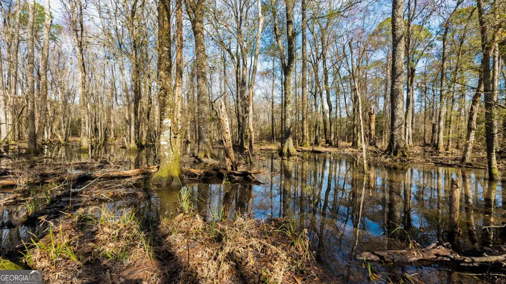 0 Eastman Dublin HWY Cadwell, GA 31009