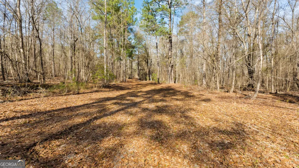 0 Eastman Dublin HWY Cadwell, GA 31009