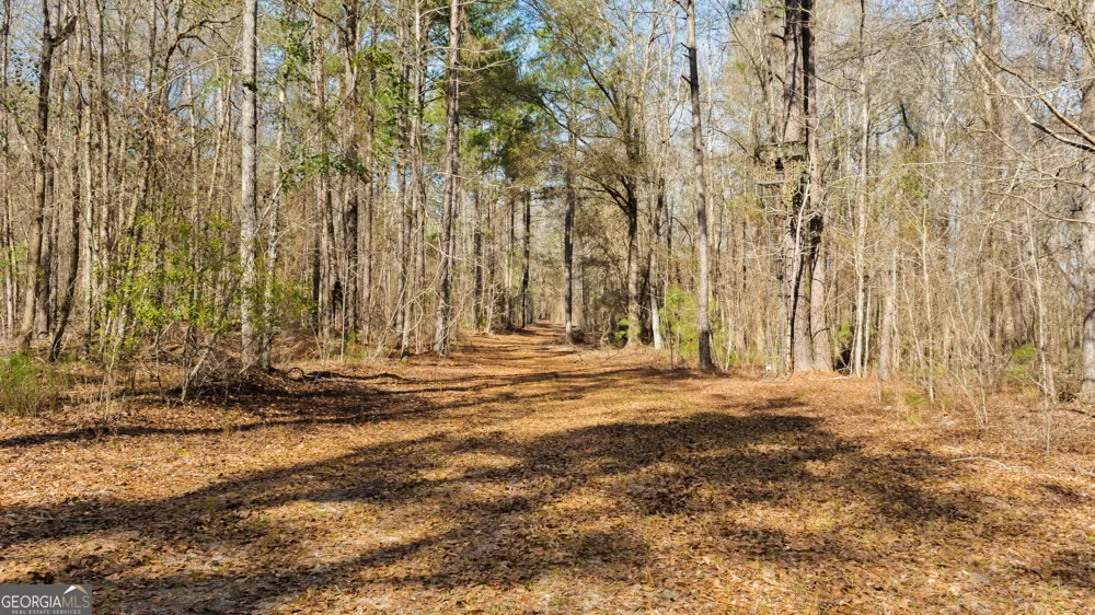 0 Eastman Dublin HWY Cadwell, GA 31009