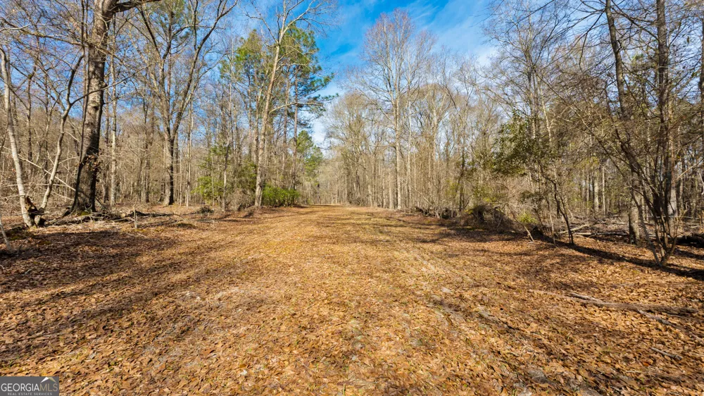 0 Eastman Dublin HWY Cadwell, GA 31009
