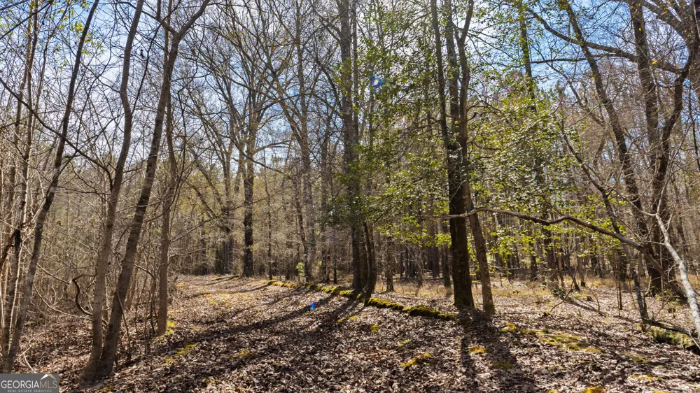 0 Eastman Dublin HWY Cadwell, GA 31009