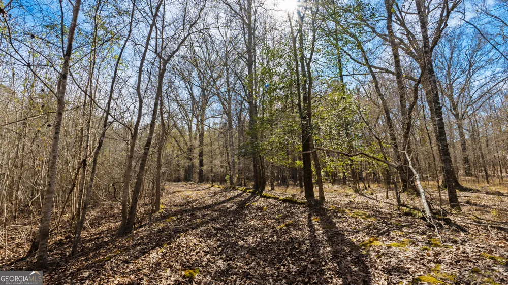 0 Eastman Dublin HWY Cadwell, GA 31009