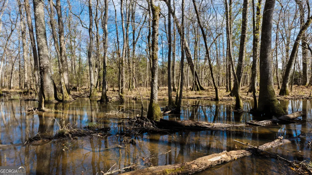 0 Eastman Dublin HWY Cadwell, GA 31009