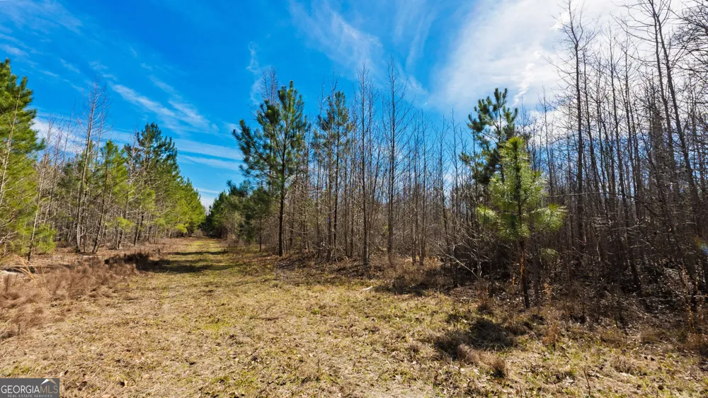 0 Eastman Dublin HWY Cadwell, GA 31009