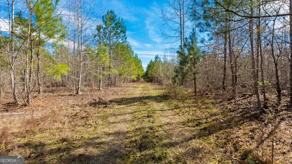 0 Eastman Dublin HWY Cadwell, GA 31009