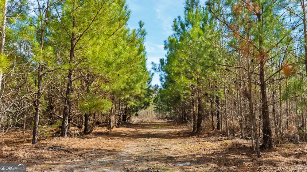 0 Eastman Dublin HWY Cadwell, GA 31009