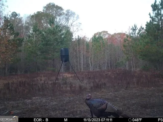 0 Eastman Dublin HWY Cadwell, GA 31009