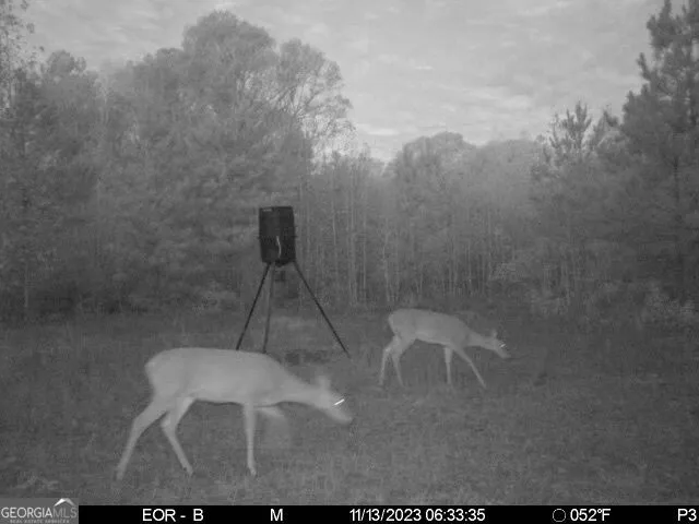 0 Eastman Dublin HWY Cadwell, GA 31009