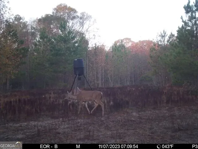 0 Eastman Dublin HWY Cadwell, GA 31009