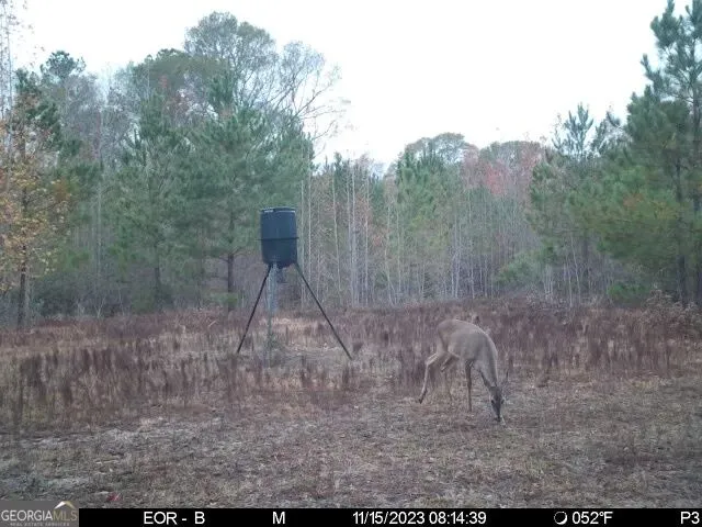 0 Eastman Dublin HWY Cadwell, GA 31009