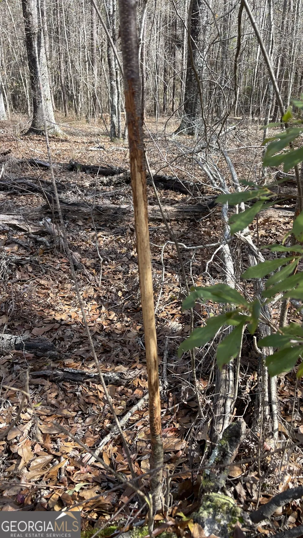 0 Eastman Dublin HWY Cadwell, GA 31009