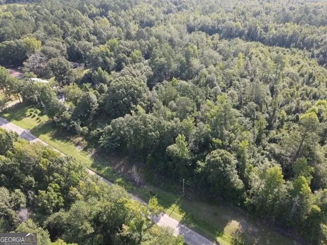 74 Piney Grove RD Midville, GA 30441