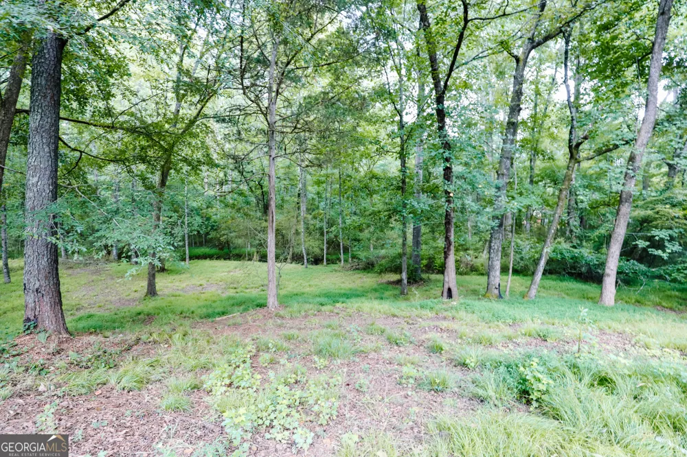 2447 Martin Mill RD Newnan, GA 30263