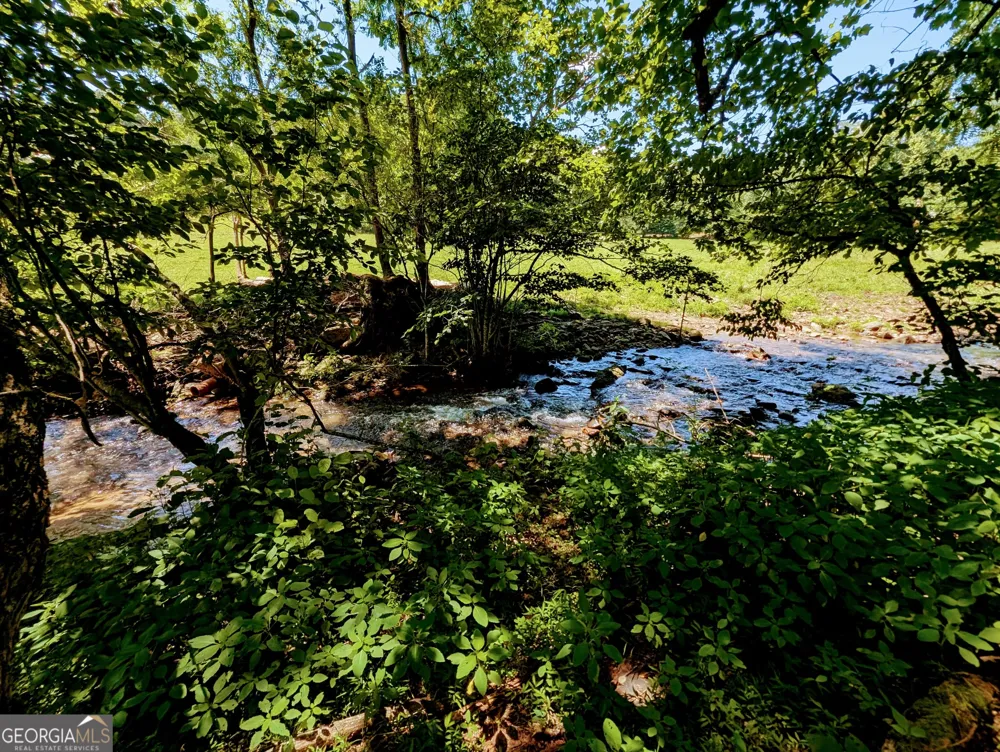 169 E Vineyard RD Hayesville, NC 28904