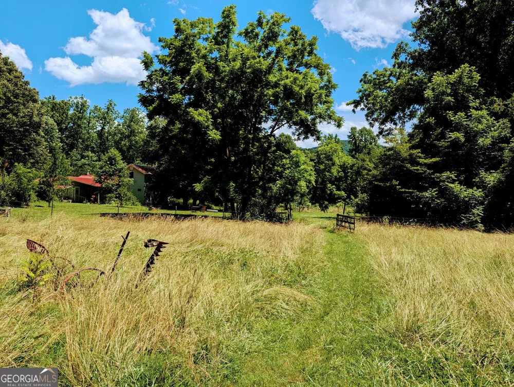 169 E Vineyard RD Hayesville, NC 28904