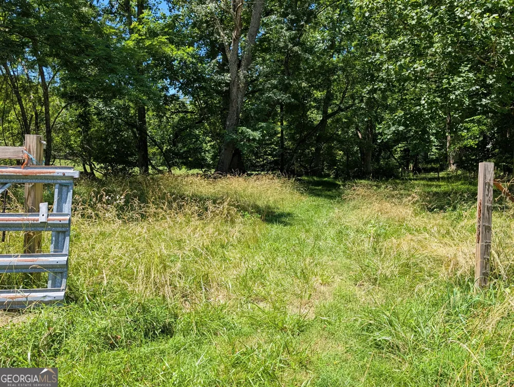 169 E Vineyard RD Hayesville, NC 28904