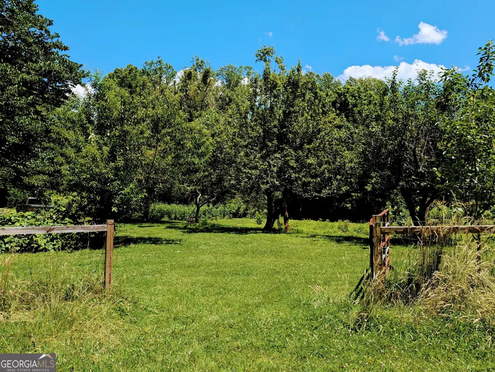 169 E Vineyard RD Hayesville, NC 28904