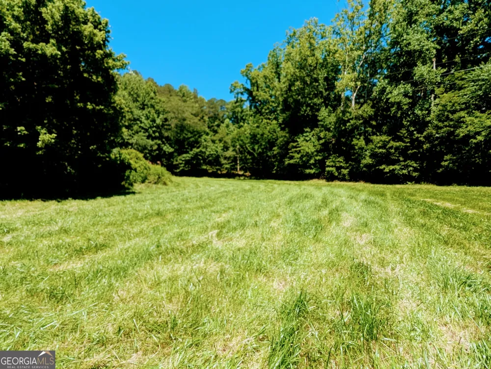 169 E Vineyard RD Hayesville, NC 28904