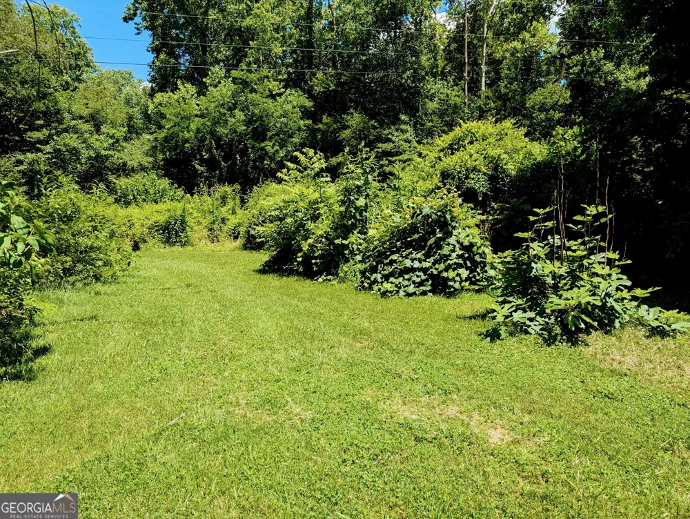 169 E Vineyard RD Hayesville, NC 28904