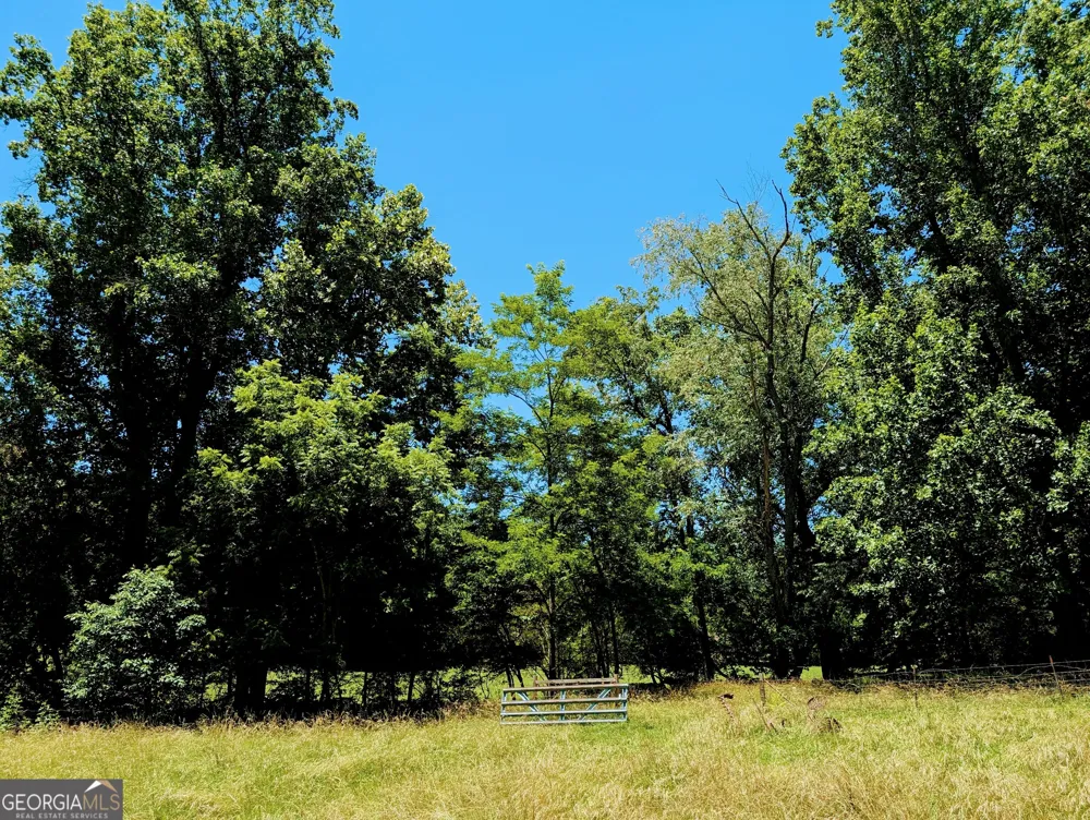 169 E Vineyard RD Hayesville, NC 28904