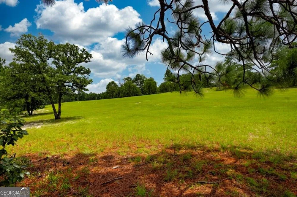 0 Ben Grady Collins RD Portal, GA 30450