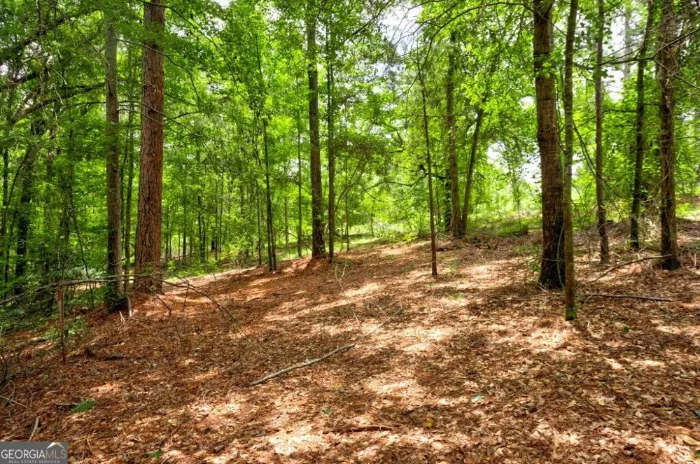 0 Ben Grady Collins RD Portal, GA 30450