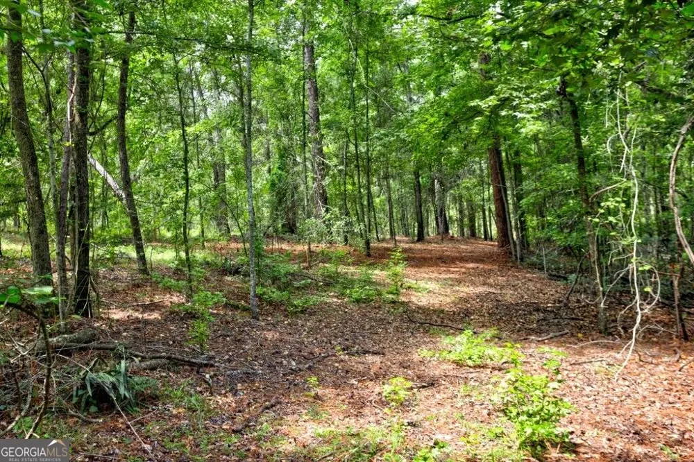 0 Ben Grady Collins RD Portal, GA 30450