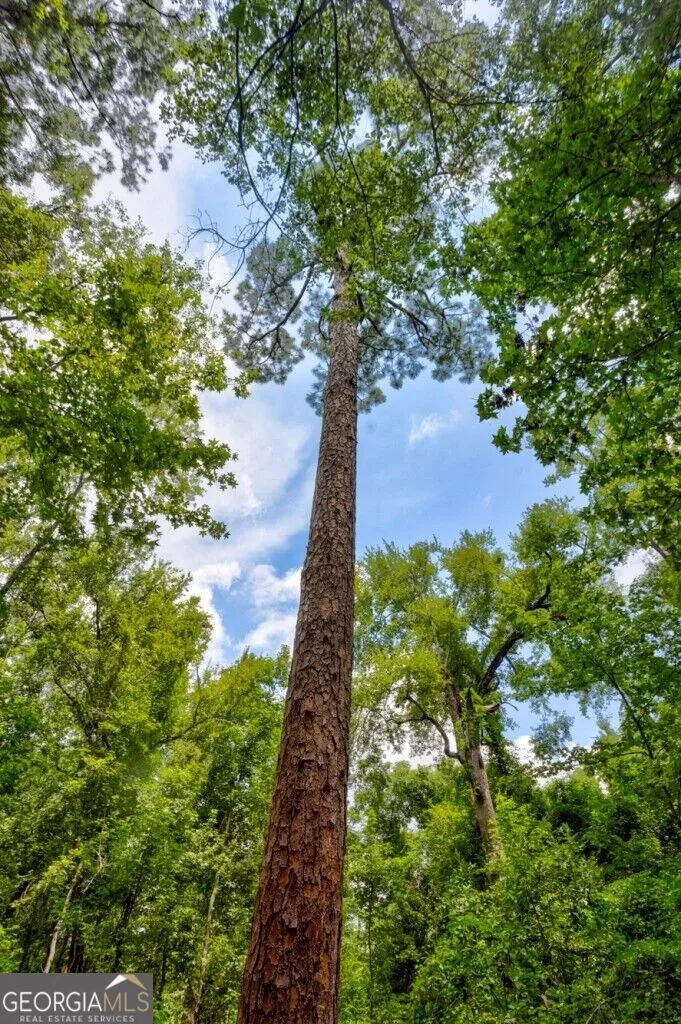 0 Ben Grady Collins RD Portal, GA 30450