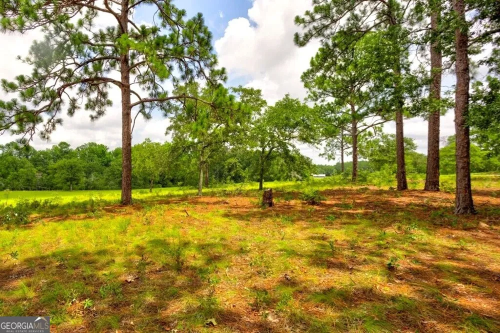 0 Ben Grady Collins RD Portal, GA 30450