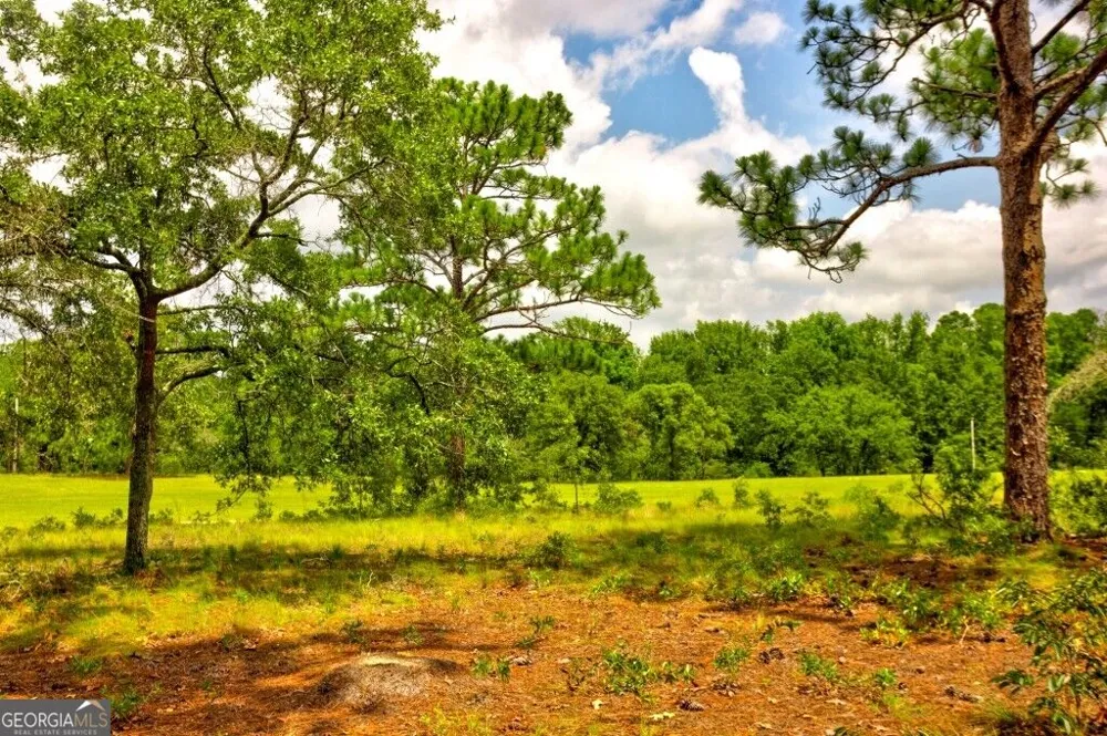 0 Ben Grady Collins RD Portal, GA 30450