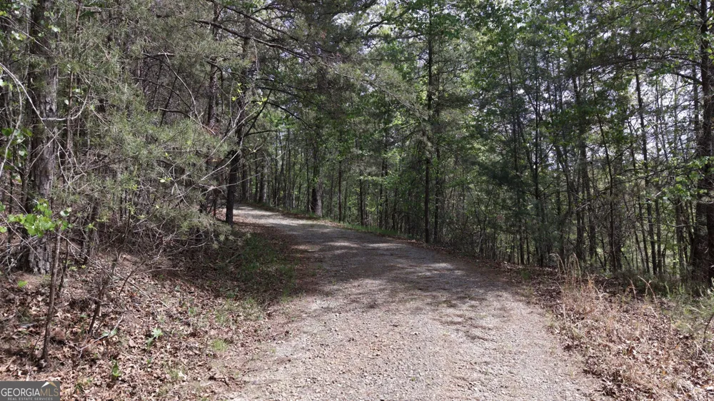 LOT 20 Horseshoe Bend RD Dahlonega, GA 30533