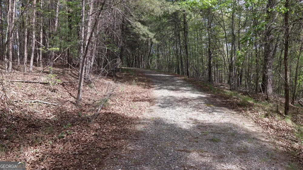 LOT 20 Horseshoe Bend RD Dahlonega, GA 30533