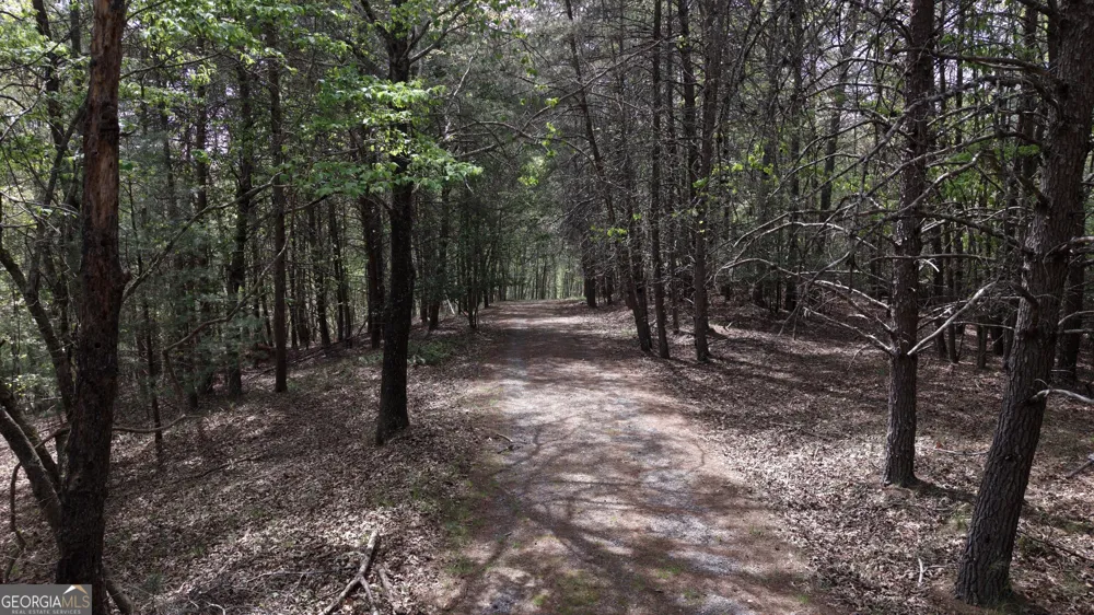 LOT 20 Horseshoe Bend RD Dahlonega, GA 30533