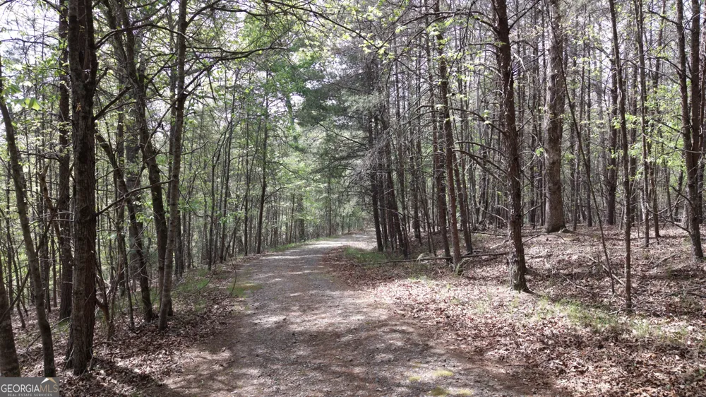 LOT 20 Horseshoe Bend RD Dahlonega, GA 30533