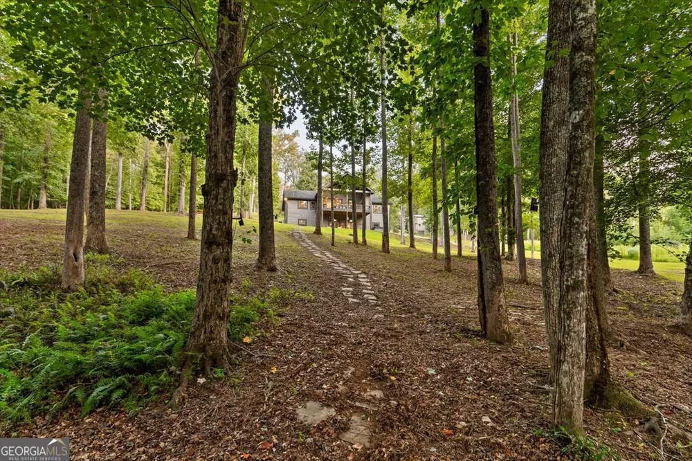 371 Windfield CIR Blue Ridge, GA 30513