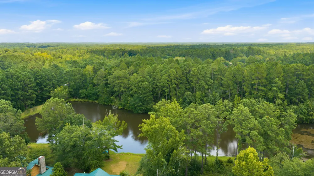 123 Anchor PT Cochran, GA 31014
