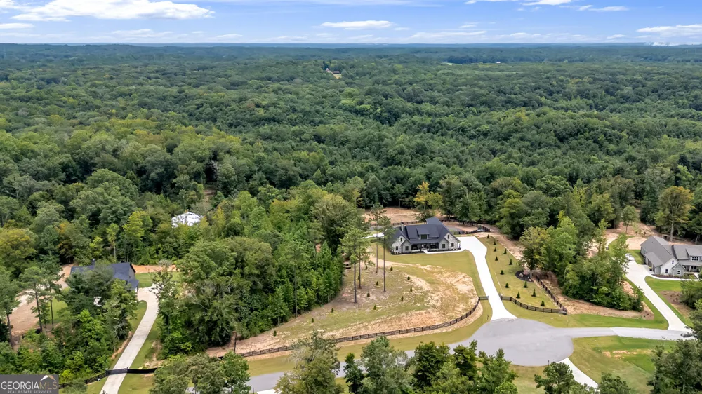 392 Georgian Pines DR Senoia, GA 30276