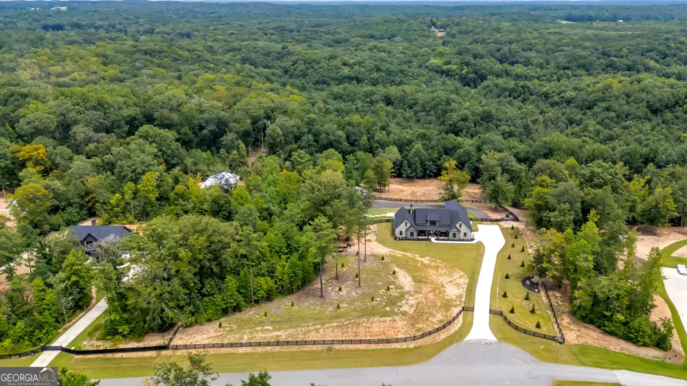 392 Georgian Pines DR Senoia, GA 30276