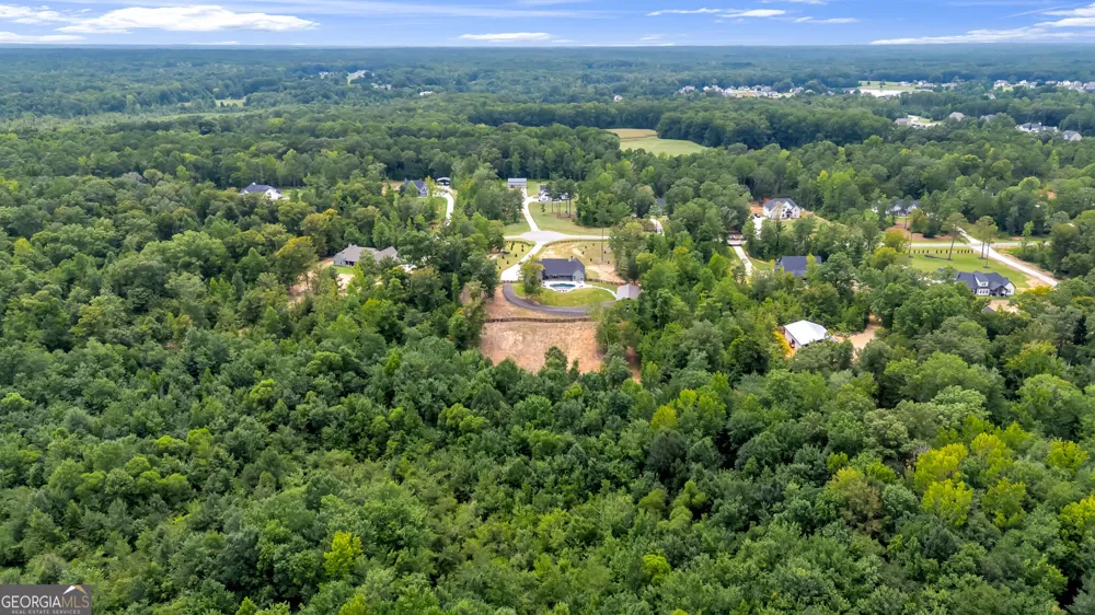 392 Georgian Pines DR Senoia, GA 30276