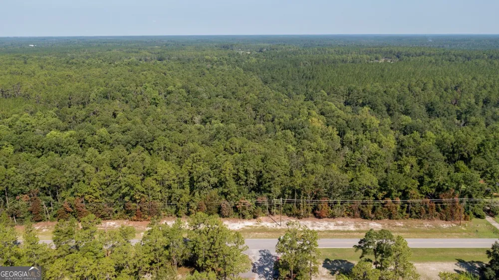 0 Highway 121 Folkston, GA 31537