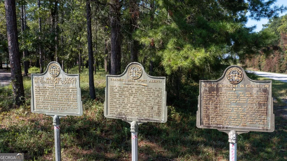 0 Highway 121 Folkston, GA 31537